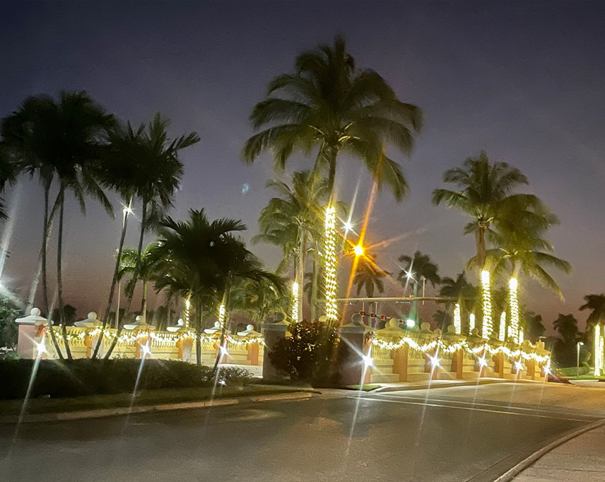 Verona Walk Bridge and Palm Tree Holiday Lighting | Naples Landscape Lighting